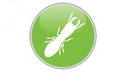 Diagnostic Termites image